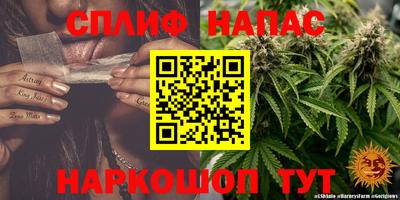 стаф Жуковский