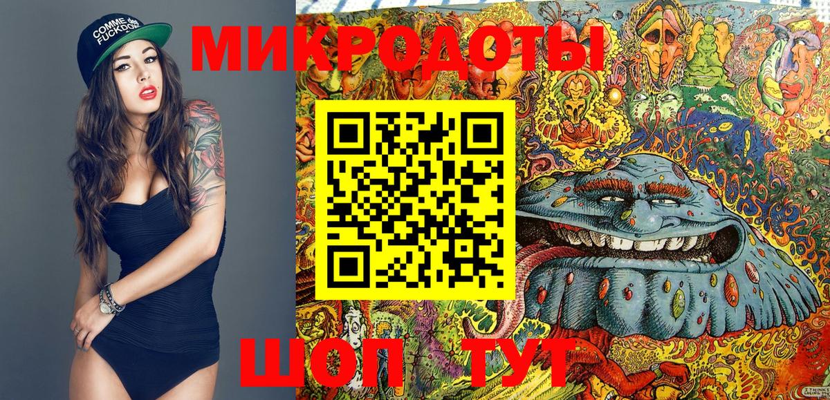 Псилоцибиновые грибы Cubensis Валуйки